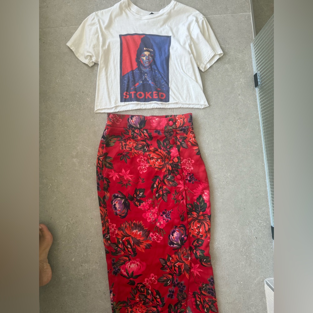 Zara Woman Skirt . ( shirt not included)